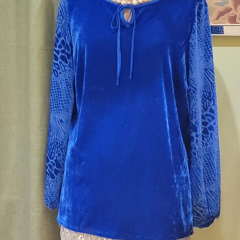 Blue Velvet Long Sleeve Blouse